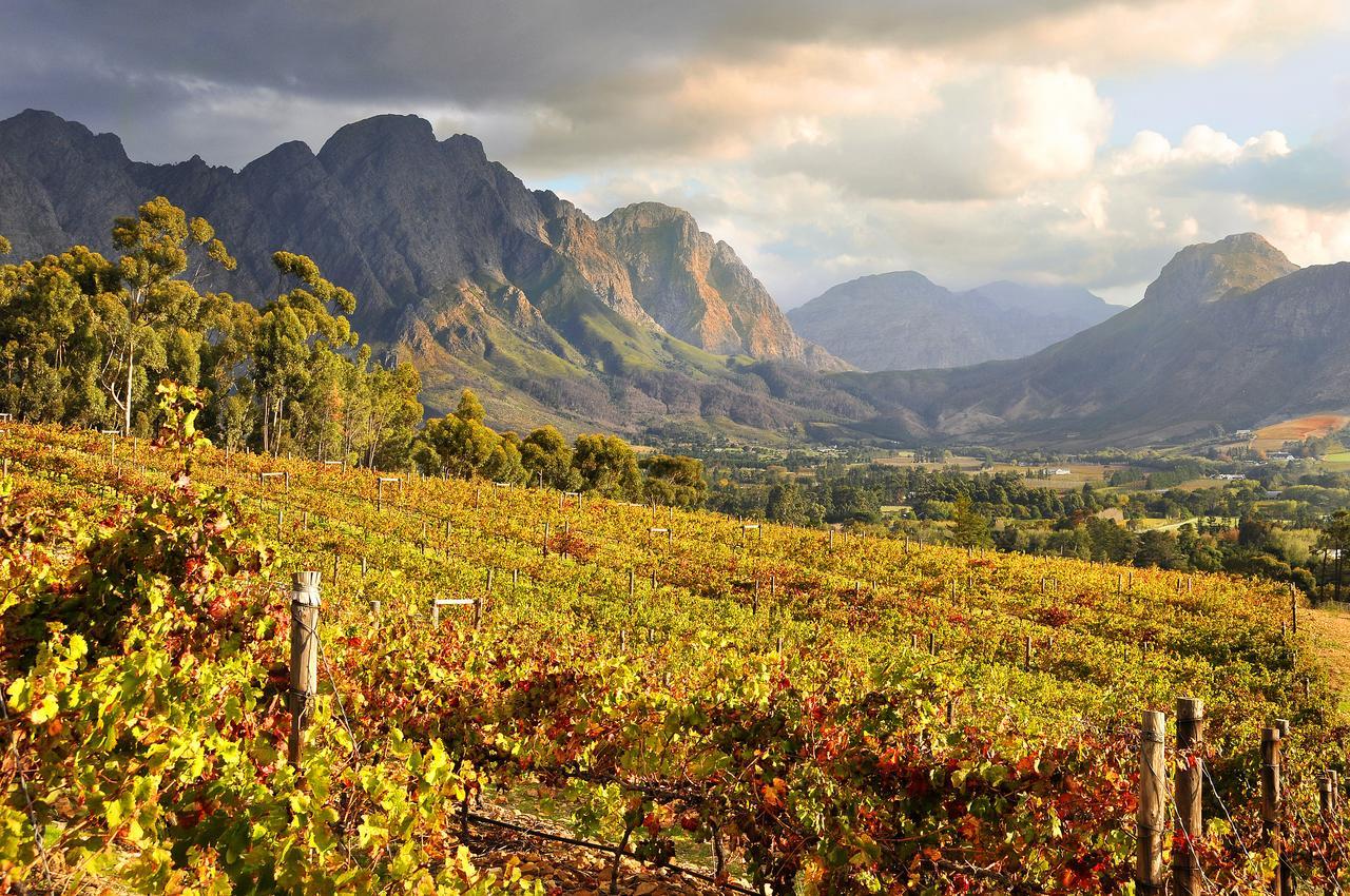 La Petite Ferme Hotel Franschhoek Exterior photo